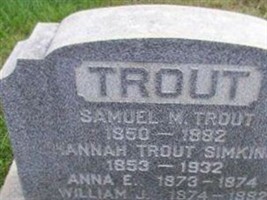 William J Trout