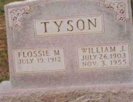 William J Tyson William J Tyson