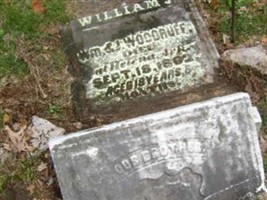 William J Woodruff William J Woodruff
