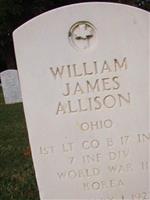 William James Allison