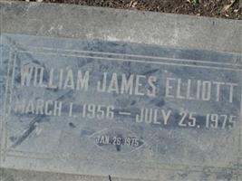 William James Elliott