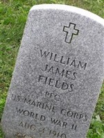 William James Fields