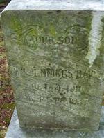 William Jennings Davis