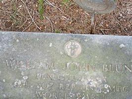 William John Blunt