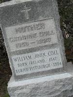 William John Coll