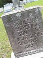 William Joseph Collins
