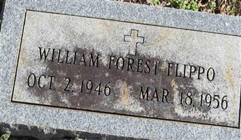 William L. Flippo