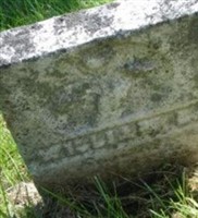 William L Steele William L Steele