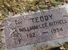 William Lee "Teddy" Bithell William Lee "Teddy" Bithell