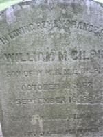 William M Gilpin