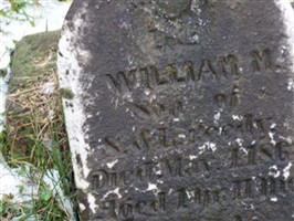 William M. Reedy William M. Reedy