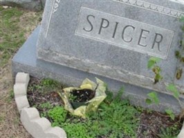 William M Spicer William M Spicer