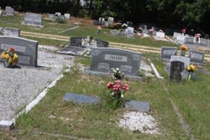 William M Tharp, Jr