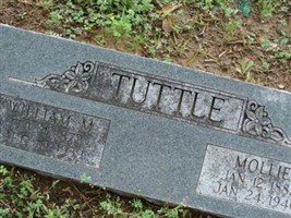 William M Tuttle William M Tuttle
