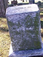 William Meade Fishback