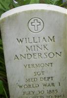 William Mink Anderson