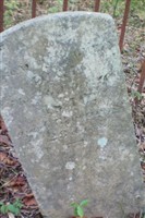 William Montgomery Dial