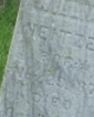 William Neitzel