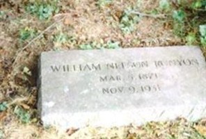 William Nelson Runyon