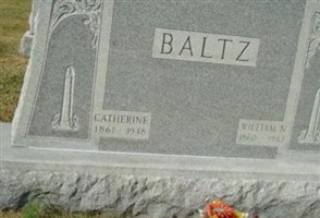 William Nicolas Baltz