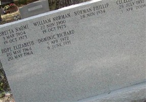 William Norman Tudor