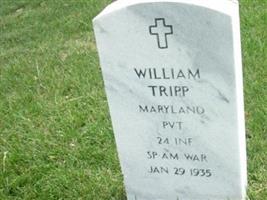 William O Tripp