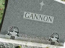 William P Gannon William P Gannon