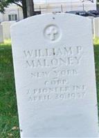 William P Maloney