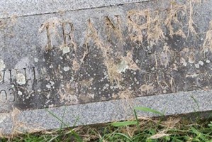 William P Transue William P Transue