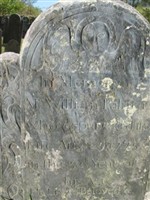 William Palmer William Palmer