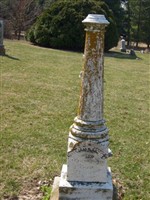 William R Arnett William R Arnett