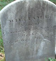 William R Beebe William R Beebe