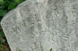 William R Best