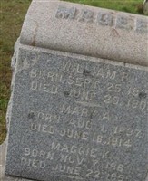 William R. McGee