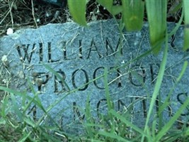 William R Proctor William R Proctor