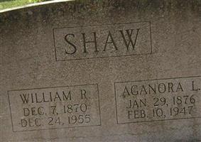William R Shaw