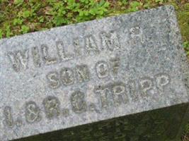 William R. Tripp