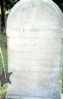 William Reading Montgomery