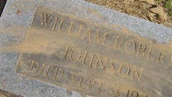 William Robert Johnson