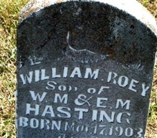 William Roey Hasting William Roey Hasting
