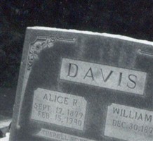William Shadrick Davis William Shadrick Davis