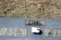 William Sherman Sims, Sr