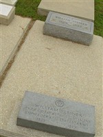William Steiner William Steiner