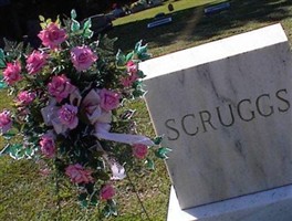 William Swaim Scruggs