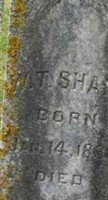 William T Sharp