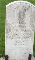 William T. Walsh