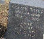 William Taylor William Taylor