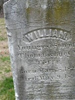 William Tefft