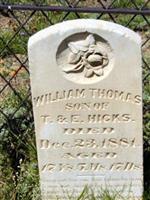 William Thomas Hicks