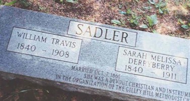 William Travis Sadler William Travis Sadler